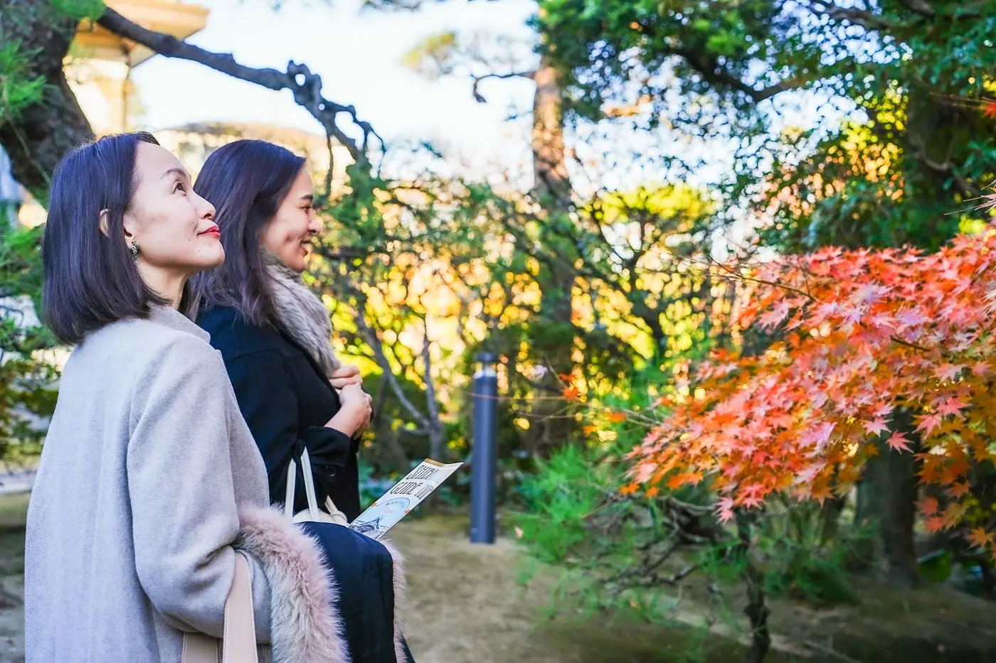 Autumn leaves in the garden of Yamamoto-tei